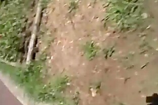 An Asian girl is being interviewed in a public park. from